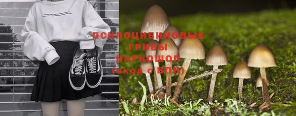 хмурый Медногорск
