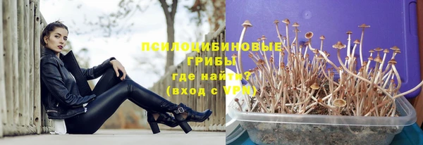 мяу мяу мука Мегион