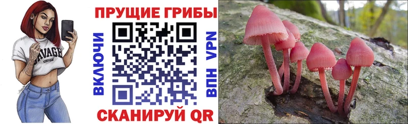 цены   Струнино  Псилоцибиновые грибы мухоморы 